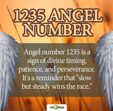 1235 angel number meaning|1235 Angel Number: Surprising & Powerful Meanings